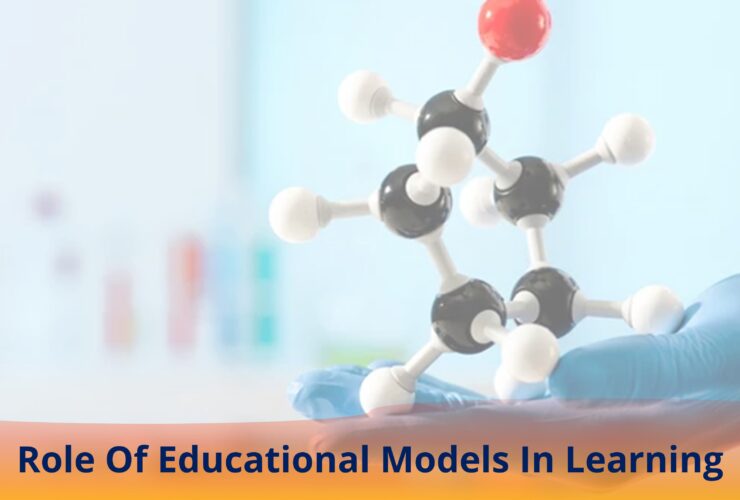 Role Of Educational Models In Learning