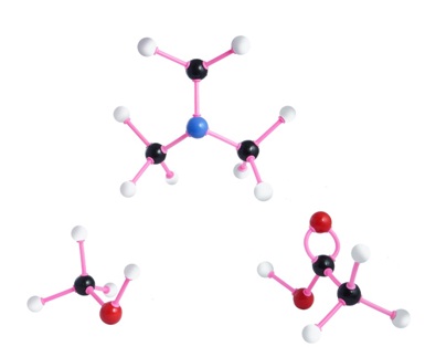 Ball and stick model chemistry